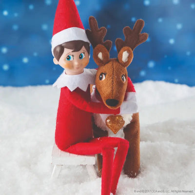 The Elf on the Shelf - een kersttraditie - jongen